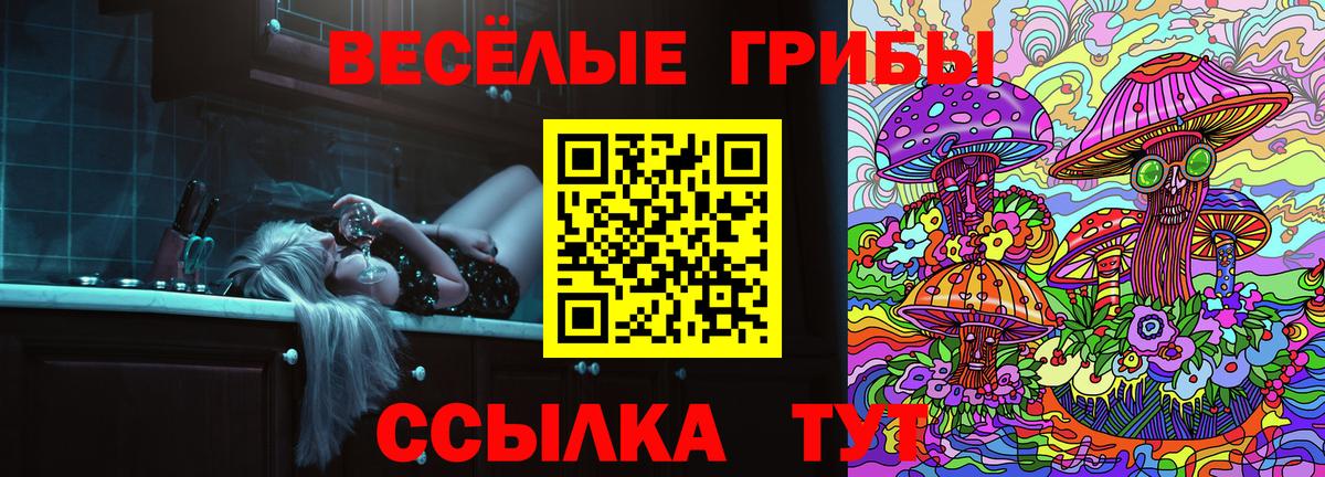 где найти наркотики  Псилоцибиновые грибы мицелий  Псилоцибиновые грибы ЛСД  Вход с VPN  Елизово 