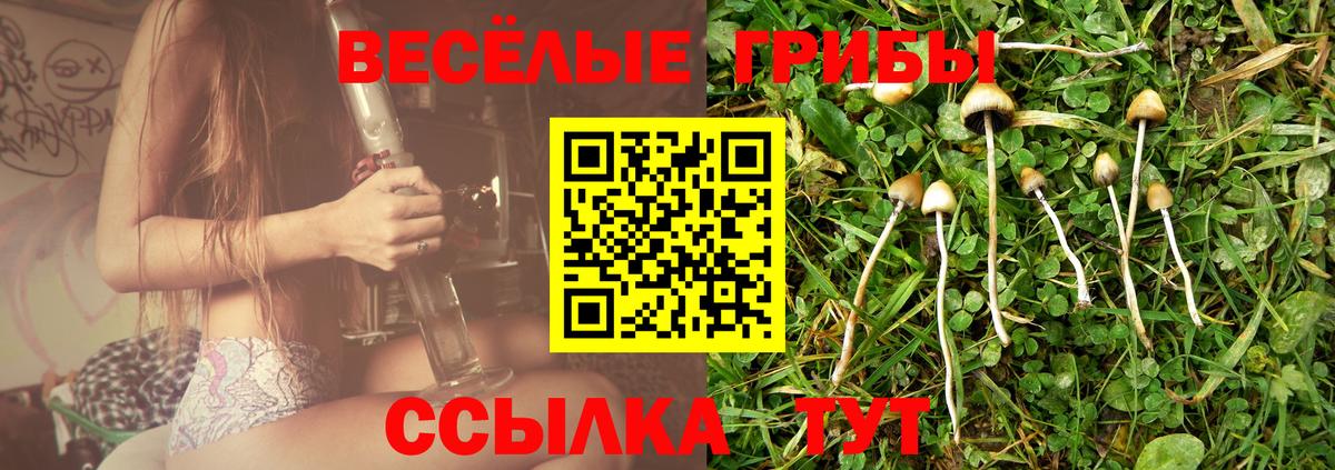 Псилоцибиновые грибы Magic Shrooms Елизово